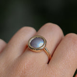 Cortez Pearls® Bezel Wave Rings in 14k Yellow Gold