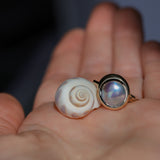 Cortez Pearls® Bezel Wave Rings in 14k Yellow Gold
