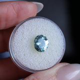 2.40CT OVAL MONTANA SAPPHIRE, DUSTY BLUE, UNTREATED, 9X7.8MM