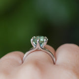 3.41ct Untreated Nigerian Octagon Sapphire Low Profile Six Prong Split Shank Solitaire in 14k White