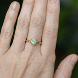 1.01ct Round Green Montana Sapphire Classic Four Prong Solitaire in 14k Yellow Gold