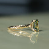 3.01ct Madagascar Parti Radiant Cut Sapphire Double Prong Evergreen Carved Stackable Solitaire in 14k Yellow Gold