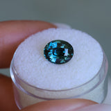 2.71CT OVAL MADAGASCAR SAPPHIRE, DEEP TEAL BLUE, 9.1X7.4X5MM