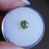 1.08CT ROUND PRECISION CUT MONTANA SAPPHIRE, LIGHT GREEN YELLOW, 5.9X4.03MM