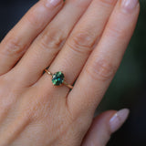 1.56ct Oval Australian Green and Teal Sapphire Lotus Solitaire in 14k Yellow Gold