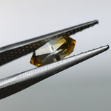 1.62CT GEO-MARQUISE MADAGASCAR SAPPHIRE, BICOLOR YELLOW WHITE, 10X5.85X4MM