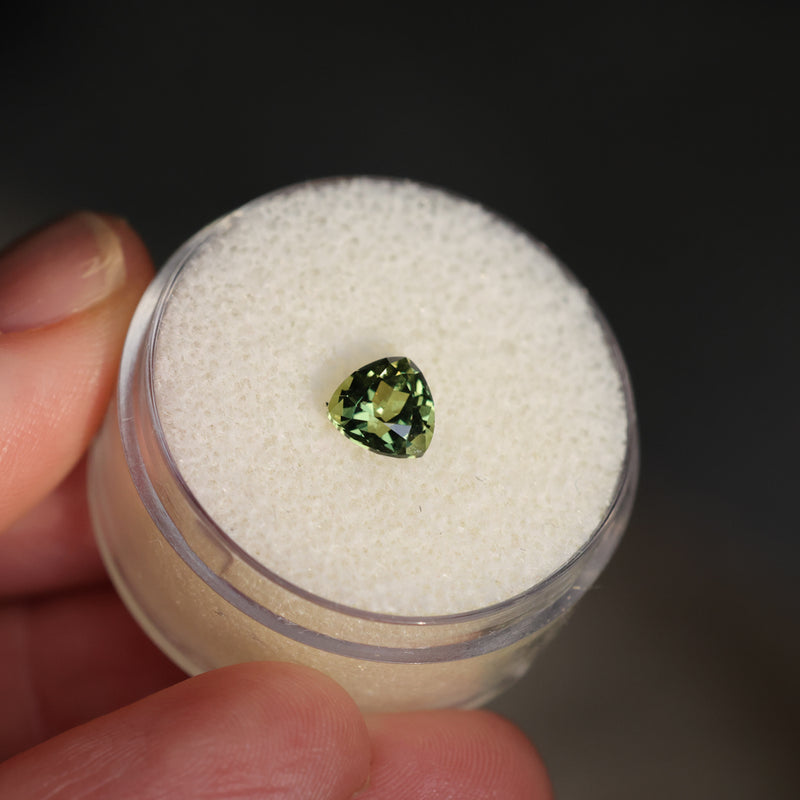 1.10CT AUSTRALIAN TRILLION SAPPHIRE, OLIVE GREEN, UNTREATED, 6MM