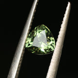 1.10CT AUSTRALIAN TRILLION SAPPHIRE, OLIVE GREEN, UNTREATED, 6MM