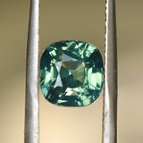 3.0CT CUSHION MADAGASCAR SAPPHIRE, MEDIUM TEAL GREEN, UNHEATED, 7.44X7.2X5.46MM