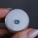1.00CT PRECISION CUT OVAL CUSHION MONTANA SAPPHIRE, PARTI BRIGHT CORNFLOWER BLUE, 6.2X5.2X3.9MM