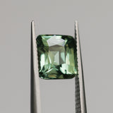 3.35CT UNTREATED CUSHION MADAGASCAR SAPPHIRE, OLIVE GREEN, 8.5X7.8X5.2MM
