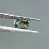 1.75CT CUSHION MADAGASCAR SAPPHIRE, PARTI BICOLOR TEAL ORANGE, 7X6.3X4.5MM