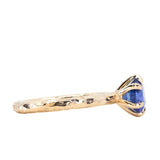 1.68ct Vibrant Blue Round Sapphire Six Prong Evergreen Solitaire in 14k Yellow Gold