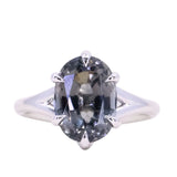 4.02ct Smoky Grey Tourmaline Oval Six Prong Split Shank Solitaire in 14k White Gold