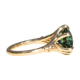 4.23ct Round Teal Green Sapphire Low Profile Wandering Vine Split Shank Six Prong Solitaire in 14k Yellow Gold