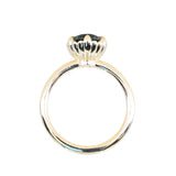 1.93ct Oval Silky Teal Montana Sapphire Scallop Cup Solitaire in 18k Yellow Gold