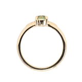 0.79ct Round Light Green Montana Sapphire Low Profile Four Prong Spring Bloom Solitaire in 14k Yellow Gold