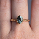 1.71ct Precision Cut Oval Montana Sapphire Diamond-studded Sea Star Solitaire in 14k Yellow Gold