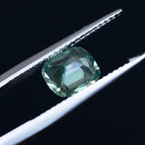 1.60CT CUSHION MADAGASCAR SAPPHIRE, LIGHT SAGE GREEN WITH YELLOW AND BLUE, 7.29X6.39X3.84MM