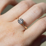 1.61ct Round Brilliant Salt & Pepper Diamond Evergreen 4 Prong Solitaire in 14k Yellow Gold