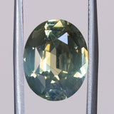 5.64CT OVAL CHRYSOBERYL, SILKY GREEN WITH YELLOW, 12X9.5X5.1MM