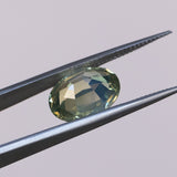 5.64CT OVAL CHRYSOBERYL, SILKY GREEN WITH YELLOW, 12X9.5X5.1MM