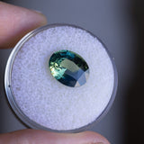 4.58CT OVAL MADAGASCAR SAPPHIRE, PARTI BLUE GREEN YELLOW, 11.20X8.76X5.54MM