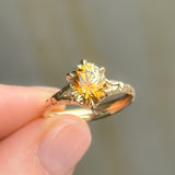 2.35ct Parti Montana Sapphire Orange White Champagne Low Profile Six Prong Split Shank Solitaire in 14k Yellow Gold