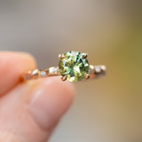 1.56ct Round Parti Australian Sapphire 4 Prong Evergreen Solitaire with Scattered Embedded Diamonds in 14k Yellow Gold