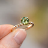 1.56ct Round Parti Australian Sapphire 4 Prong Evergreen Solitaire with Scattered Embedded Diamonds in 14k Yellow Gold