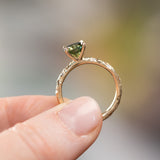 1.56ct Round Parti Australian Sapphire 4 Prong Evergreen Solitaire with Scattered Embedded Diamonds in 14k Yellow Gold