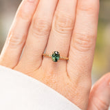 1.10ct Deep Teal Madagascar Sapphire Evergreen Carved 4 Prong Solitaire in 14k Yellow Gold