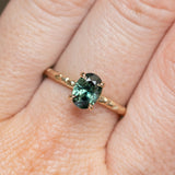 1.10ct Deep Teal Madagascar Sapphire Evergreen Carved 4 Prong Solitaire in 14k Yellow Gold