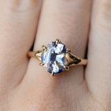 4.0ct Bicolor Parti Oval Sapphire Low Profile Six Prong Split Shank Evergreen Solitaire in 14k Yellow Gold