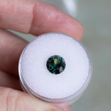 2.7CT FANCY ROUND AUSTRALIAN SAPPHIRE, DEEP PARTI GREEN YELLOW TEAL, UNTREATED, 7.8X5MM