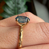 1.92ct Silky Teal Oval Nigerian Sapphire Evergreen Carved Solitaire in 14k Yellow Gold