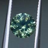 1.51CT ROUND AUSTRALIAN SAPPHIRE, SPARKLING JUNGLE PARTI GREEN, UNTREATED, 6.55X4.48MM