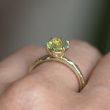 1.95ct Oval Yellow-Green Untreated Parti Nigerian Oval Sapphire Six Prong Evergreen Solitaire in 14k Green Gold