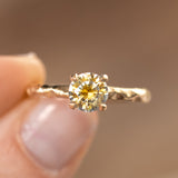 1.14ct Round Bicolor Montana Sapphire Evergreen Carved 4 Prong Solitaire in 14k Yellow Gold