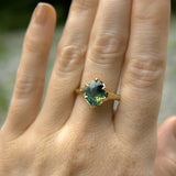 3.29ct Untreated Oval Parti Green Sapphire Low Profile 6 Prong Evergreen Carved Solitaire in 14k Yellow Gold