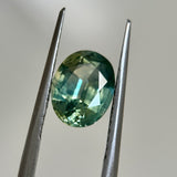 1.95CT AUSTRALIAN OVAL SAPPHIRE, PARTI GREEN BLUE YELLOW, 8.3X6.4MM, EARLY ACCESS