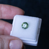 1.93CT ROUND PRECISION CUT AUSTRALIAN SAPPHIRE, GREEN WITH YELLOW AND BLUE, 7X5MM