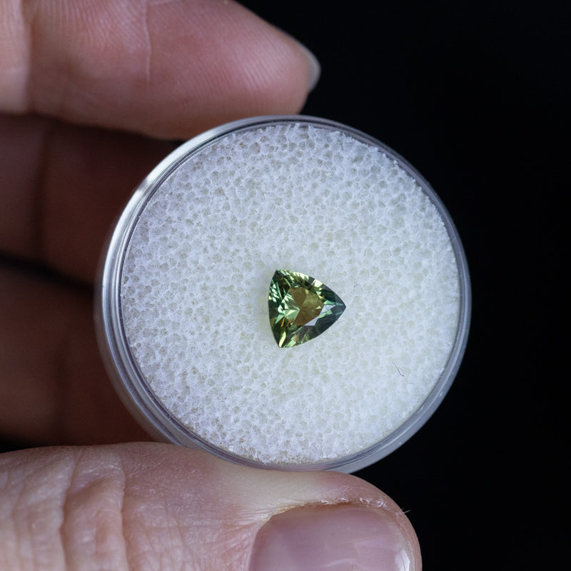 1.00CT TRILLION AUSTRALIAN SAPPHIRE, LIGHT GREEN WITH YELLOW, 6.23X3.80MM, UNTREATED