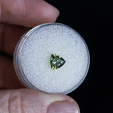 1.00CT TRILLION AUSTRALIAN SAPPHIRE, LIGHT GREEN WITH YELLOW, 6.23X3.80MM, UNTREATED