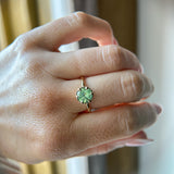 1.55ct Round Madagascar Light Green Sapphire Low Profile Scallop Cup Solitaire in 14k Yellow Gold