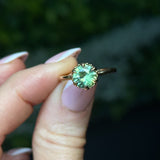 1.55ct Round Madagascar Light Green Sapphire Low Profile Scallop Cup Solitaire in 14k Yellow Gold