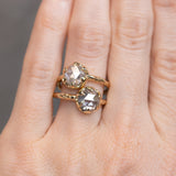 2.03ct Rosecut Salt and Pepper Diamond 6-Prong Low Profile Ring with Evergreen Carved Band in 14K Yellow Gold