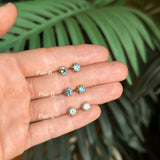 Montana Sapphire Stud Earrings in Recycled Gold