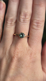 0.97ct Round Madagascar Teal Sapphire Low Profile Scallop Cup Solitaire in 14k Yellow Gold