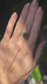 4.23ct Round Teal Green Sapphire Low Profile Wandering Vine Split Shank Six Prong Solitaire in 14k Yellow Gold